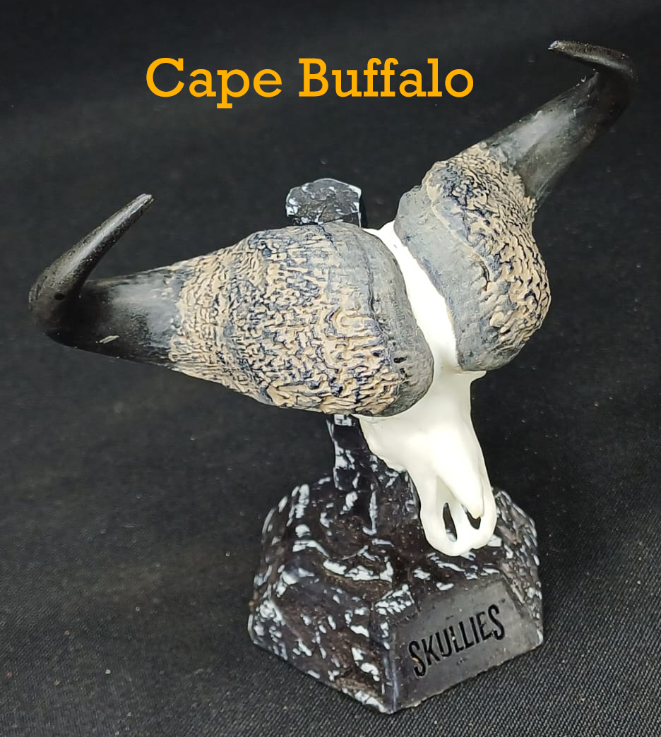 Cape-Buffalo.jpg