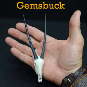 Skullies Collectable Mini Skulls (Gemsbuck)