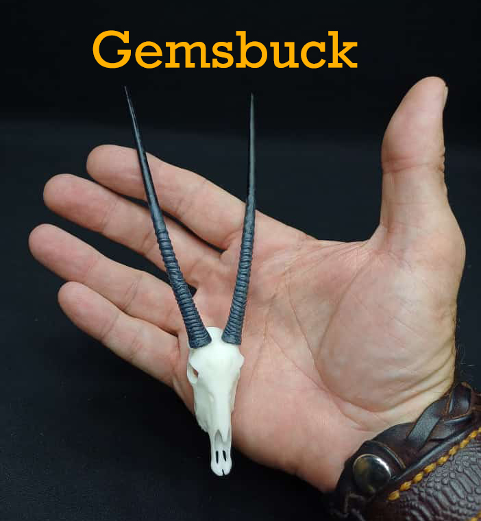 Gemsbuck-2.jpg