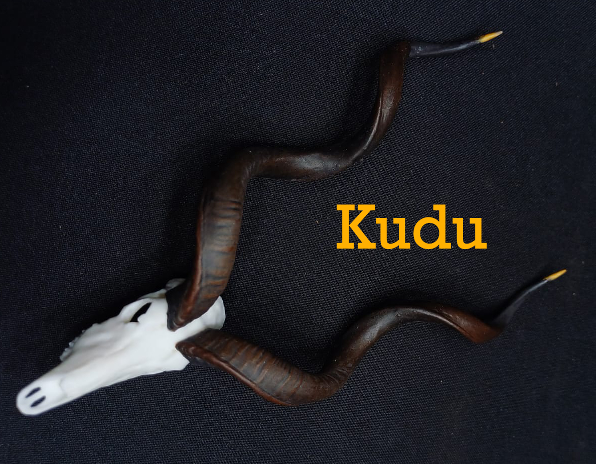 Kudu.jpg