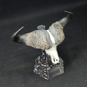 Skullies Collectable Mini Skulls (Buffalo)