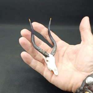 Skullies Collectable Mini Skulls (Nyala)